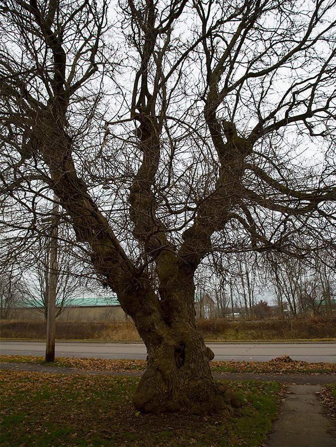 Brooksbnb Sussex Kültér fotó